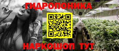 прущие крисы Ипатово