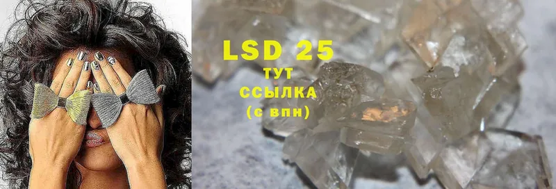 shop как зайти  Удомля  LSD-25 экстази кислота 