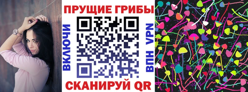 магазин продажи   ОМГ ОМГ маркетплейс  Галлюциногенные грибы мицелий  Удомля 