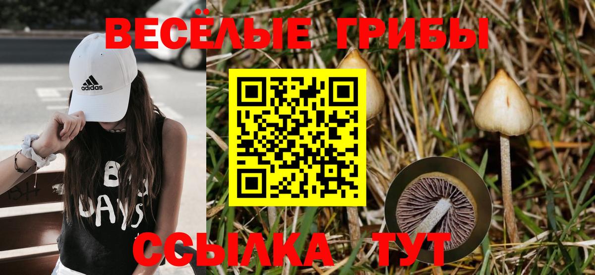 Галлюциногенные грибы прущие грибы Удомля