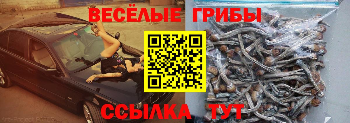 что такое   Галлюциногенные грибы мицелий  Вход с VPN  Удомля  Псилоцибиновые грибы MAGIC MUSHROOMS 